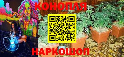 jwh Владимир