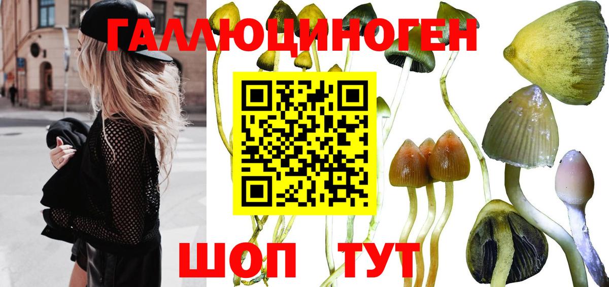Белогорск  Псилоцибиновые грибы мухоморы  Вход с VPN  Галлюциногенные грибы ЛСД 