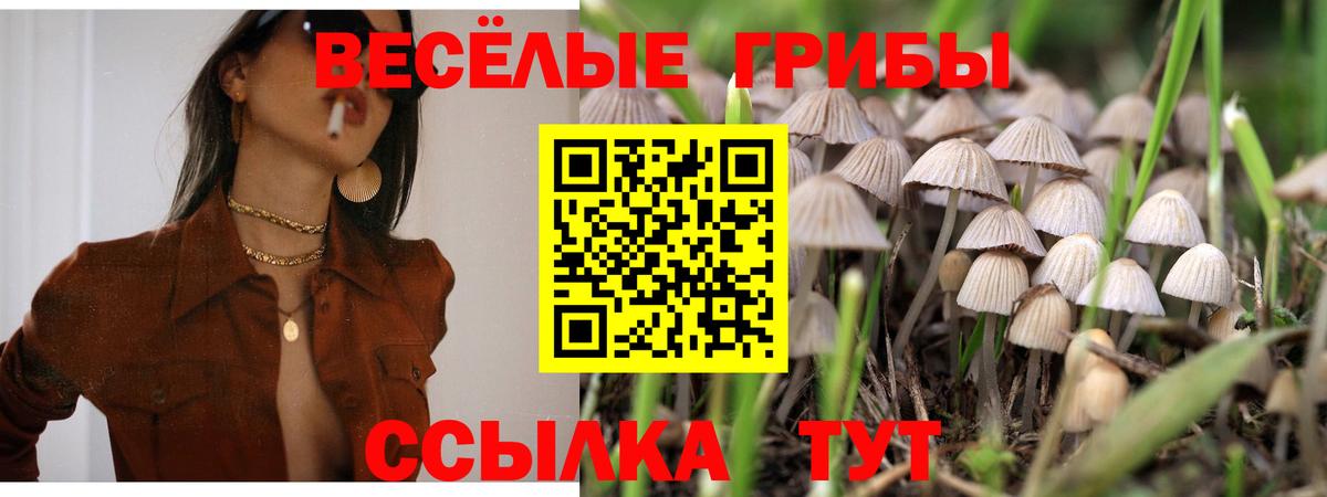 Псилоцибиновые грибы Magic Shrooms Белогорск
